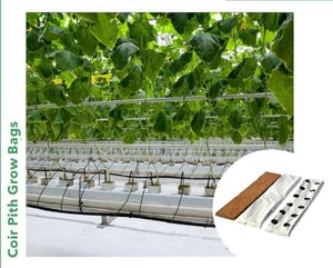 แผ่นใยมะพร้าวสำหรับปลูกแบบวางราบ - Product Image 2