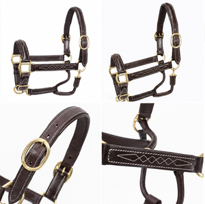 Harnais en cuir robuste pour chevaux, fournitures équestres en gros de Divine International Uttar Pradesh - Product Image 2