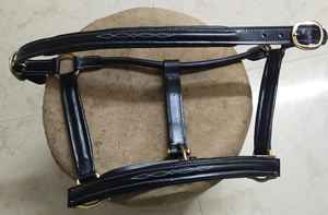 BLUHORSE Halter en cuir véritable rembourré avec surpiqûres blanches, personnalisable avec pierres, pour chevaux, toutes tailles disponibles - Product Image 2