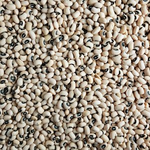 Farm Fresh White Kidney <b>Beans</b> With Rich Nutritional Profile For International Food Ingredient Import Sources - Product Image 6