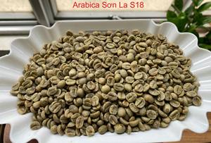 Café vert de spécialité de processus naturel, fabriqué au Vietnam, meilleure qualité à bon prix, premier exportateur de Son La - Product Image 2