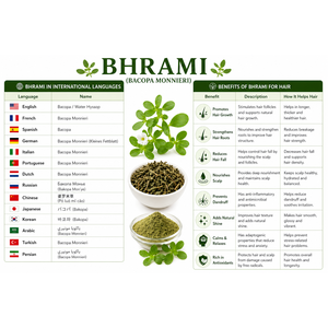 Huile d'infusion de feuilles de Brahmi (Bacopa Monnieri) de qualité supérieure pour le traitement capillaire et l'amélioration de la gestion des cheveux - Product Image 4