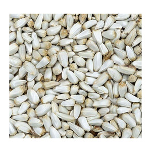 Wholesale Bulk Fresh Safflower <b>Seeds</b> Premium Quality Stock South Africa for Large Volume B2B Trade Orders GLOBAL EXPORT - Product Image 2