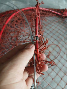 Nouveau Piège de Pêche Multifonctionnel Pliable à Double Volet avec Cage à Ressort pour Crabes, Homards, Calamar, Crevettes, Anguilles – Idéal pour la Pêche en Mer, en Rivière et en Lac - Product Image 4