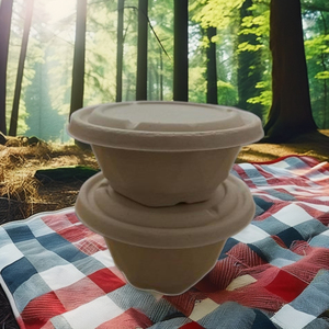 Conteneur de pulpe de canne à sucre à clapet 350ml jetable sans produits chimiques - Product Image 2