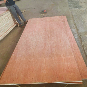 Meilleure valeur Bintangor contreplaqué 12mm/15mm/18mm norme européenne fiable en gros approvisionnement du Vietnam fabricant - Product Image 5