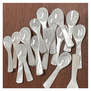 Best price Mother Of Pearl Spoon Handcrafted <b>shell</b> spoon for coffee tea stirring and restaurant tabletop presentation Vietnam - Product Image 5