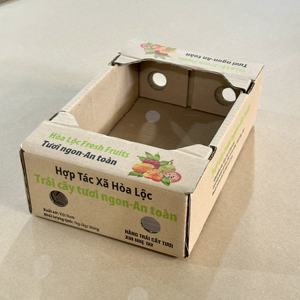 Emballage personnalisé pour mangues fraîches, boîte en carton ondulé kraft naturel pour fruits avec trous de ventilation, carton de présentation recyclable - Product Image 1