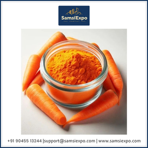 Poudre de carotte en gros, qualité alimentaire, pour soupes, sauces et mélanges instantanés, à prix compétitif - Product Image 6