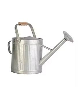 Arrosoir en métal galvanisé à long bec, outil d'arrosage pour plantes, pot d'eau de jardin pour usage intérieur et extérieur - Product Image 1