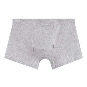 Ropa Interior Personalizada para Hombre, 100% Fibra de Bambú, Antibacteriana, Transpirable, Sin Costuras, Corte Medio, Tallas Personalizadas, Logotipo Personalizado ODM - Product Image 6