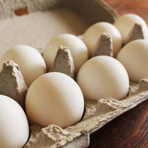 Huevos Blancos de Primera Calidad, Frescos de Granja, Higiénicos y Ricos en Nutrientes, Huevos de Gallina para Servicios de Alimentación, Supermercados y Exportación a Precio Económico - Product Image 5
