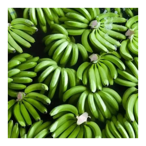 Plátano Cavendish Verde Orgánico, Producto Fresco Natural para una Dieta Saludable, Cocina y Exportación - Product Image 3