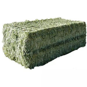 Heno de Alfalfa de Primera Calidad, Alimento para Animales, Heno para Conejos y Cobayas, Suministro al por Mayor, Stock Disponible - Product Image 2