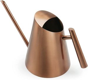 Caña de jardín de metal de alta resistencia para plantas trepadoras como judías, guisantes y enredaderas florales - Product Image 6