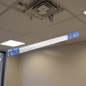 Lampe fluorescente T5 0,3M 4W 6500K, ampoule à économie d'énergie pour la modernisation et la rénovation - Product Image 3