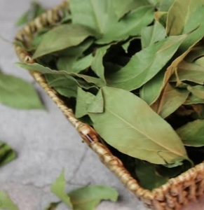 Hojas de Laurel Secas de Estilo Orgánico, Hoja de Laurel Entera a Granel para Mayoristas de Especias, Condimento Natural para Alimentos, Ingrediente Culinario Aromático - Product Image 6