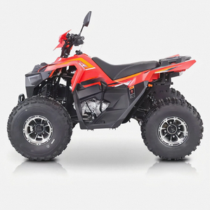 Quad 4 roues Chithan de haute qualité, nouveau modèle DIY pour adultes, 125cc, 4x4, moteur 4 temps, poignée en plastique, OEM/ODM, garantie 3 ans, CE - Product Image 5