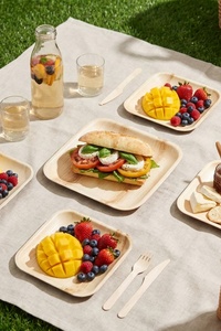 Areca Palm Leaf 6 Inches Square <b>Disposable</b> <b>Plates</b> Eco Friendly Biodegradable Natural Dinnerware for Party Restaurant and Hotels - Product Image 1