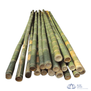 ¡OFERTA ESPECIAL! Varas de Bambú Natural Tonkin para Soporte Agrícola y Construcción, Suministro Personalizable para Granjas Blue Lotus - Product Image 1