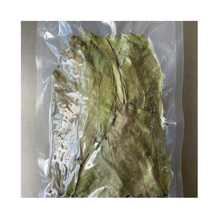 Vietnam Origin Dried Graviola Leaves Bulk for <b>Tea</b> Production Natural Soursop Leaves Export Quality Factory Supplier - Product Image 6