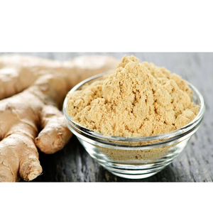 Poudre de gingembre biologique lyophilisée, 5 % de gingérols, extrait pur de racine de gingembre pour l'alimentation et les compléments alimentaires - Product Image 4