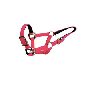 Cuerda de Algodón Trenzado para Caballos con Clip Resistente, Diseño Cómodo para Entrenamiento, Cuidado y Uso en Establos al Aire Libre - Product Image 1