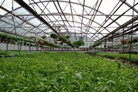 FORTUNE AGRO NET Filet de sécurité extrudé pour la construction, l'industrie, l'agriculture, l'horticulture et la protection des oiseaux