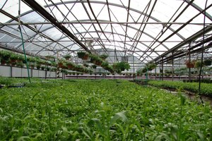 Redes de plástico monofilamento moldeadas de fabricación india FORTUNE AGRO NET Modelo NA - Product Image 2