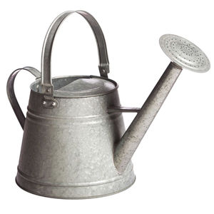 Arrosoir en fer galvanisé vieilli de style vintage, grande capacité (1 gallon), pour plantes d'intérieur et d'extérieur, pot d'irrigation de jardin - Product Image 1