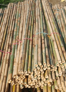 Venta al por Mayor de Varas de Bambú en Cantidad a Granel, Tamaño Personalizado, Precio Económico - Varas/Estacas de Bambú Natural Vietnamita - Product Image 6