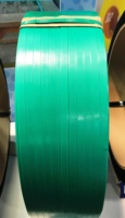 Rouleaux de sangles multiples durables en polyester PET de 15 mm et 16 mm, imprimés en rotogravure vert/noir, gaufrés, pour emballage manuel de briques et de pavés