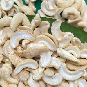 Free Sample Cashew W180 Cashew <b>Nuts</b> Ready To Ship Santigo - Product Image 1