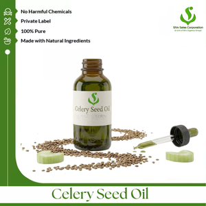 Premium Quality Celery Seed Oil Manufacturer Serving Global Wholesale Buyers with Bulk Essential Oil for Cosmetics - Product Image 1