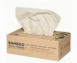 Pañuelos Faciales de Pulpa de Bambú EcoTurtles Exploration con Logotipo Personalizado, 2 Capas, 200 Unidades, Paquete Resistente, Hipoalergénicos, para Uso Doméstico - Product Image 1