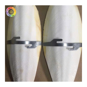 Vietnam Dried Cuttlefish Bone High Quality Grade a 99 Gold Data Brand Wholesale OEM Packaging Natural Cuttlebone for Birds - Product Image 1