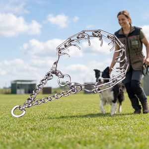 Collar de Cadena de Hierro Sólido de Primera Calidad de Taiwán para Entrenamiento de Perros, Collar Martingale de Estilo Clásico con Púas - Product Image 3