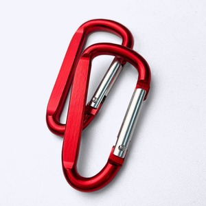 Mountaineering buckle small mini Laser logo d-shaped aluminum alloy flattened hanging buckle color keychain jewelry - Product Image 6