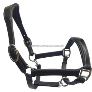 Custom Designed Leather Horse Bridle Equestrian Racing <b>Halter</b> - Product Image 4