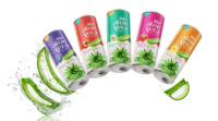 Saveur originale Aloe Vera 250ml canette boisson avec purée de pulpe boissons échantillon gratuit Service OEM exportation de marque privée