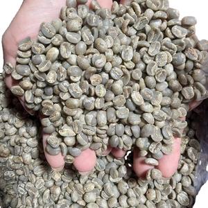 Vietnam Robusta Arabica Grade <b>1</b> Wet Polished Green <b>Coffee</b> <b>Beans</b> Dried Colored Factory-Cultivated Vilaconic Common Cultivation - Product Image 3