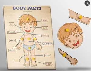 แผ่นไม้ฝึกทักษะรูปทรงร่างกายมนุษย์สำหรับเด็ก ของเล่นเสริมพัฒนาการเรียนรู้ชิ้นส่วนร่างกาย ราคาขายส่งจากโรงงาน - Product Image 3