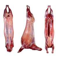 Carcasse d'agneau HALAL fraîche surgelée IQF, qualité supérieure, grade A, 25 kg, origine Royaume-Uni, prête à l'exportation