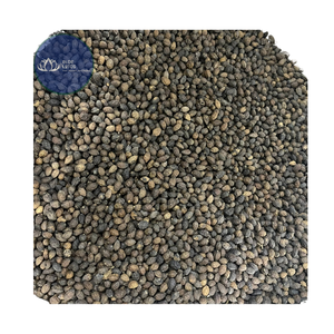 Té de Flores de Papaya Secas Puras Premium, Bebida Herbal Sostenible, Blue Lotus Gold Vietnam, Vida Útil de 12 Meses - Product Image 5