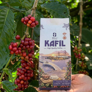 Wholesale Single Use Drip <b>Coffee</b> Bag Robusta Arabica Blend Medium Roast Sweet Taste Premium Vietnam Factory Direct - Product Image 6