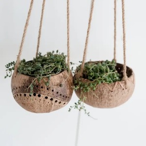 Macetas de cáscara de coco pequeñas al por mayor para la decoración del hogar macetas de flores y plantas naturales baratas - Product Image 3