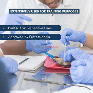 Instrumento de Disección Seeker con Punta Angular Semi-Afilada, Hecho de Acero Inoxidable de Alta Calidad, Duradero, Resistente al Óxido, Herramienta de Precisión - Product Image 4