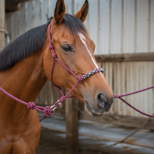 Harnais de cheval en corde bordeaux de qualité supérieure, robuste, pour l'entraînement, avec nezier tressé à la main, clip métallique, réglable, équipement équestre pour usage quotidien - Product Image 4