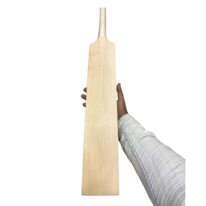 Bâtons de cricket en saule anglais, simples ou avec autocollants de différentes formes et avec logo personnalisé, bâtons de cricket simples pour le sport - Product Image 1