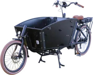 European Quality Aluminum Alloy Steel Electric Bike Cargo 2 Wheel Electric Cargo Bike With Kids Passenger